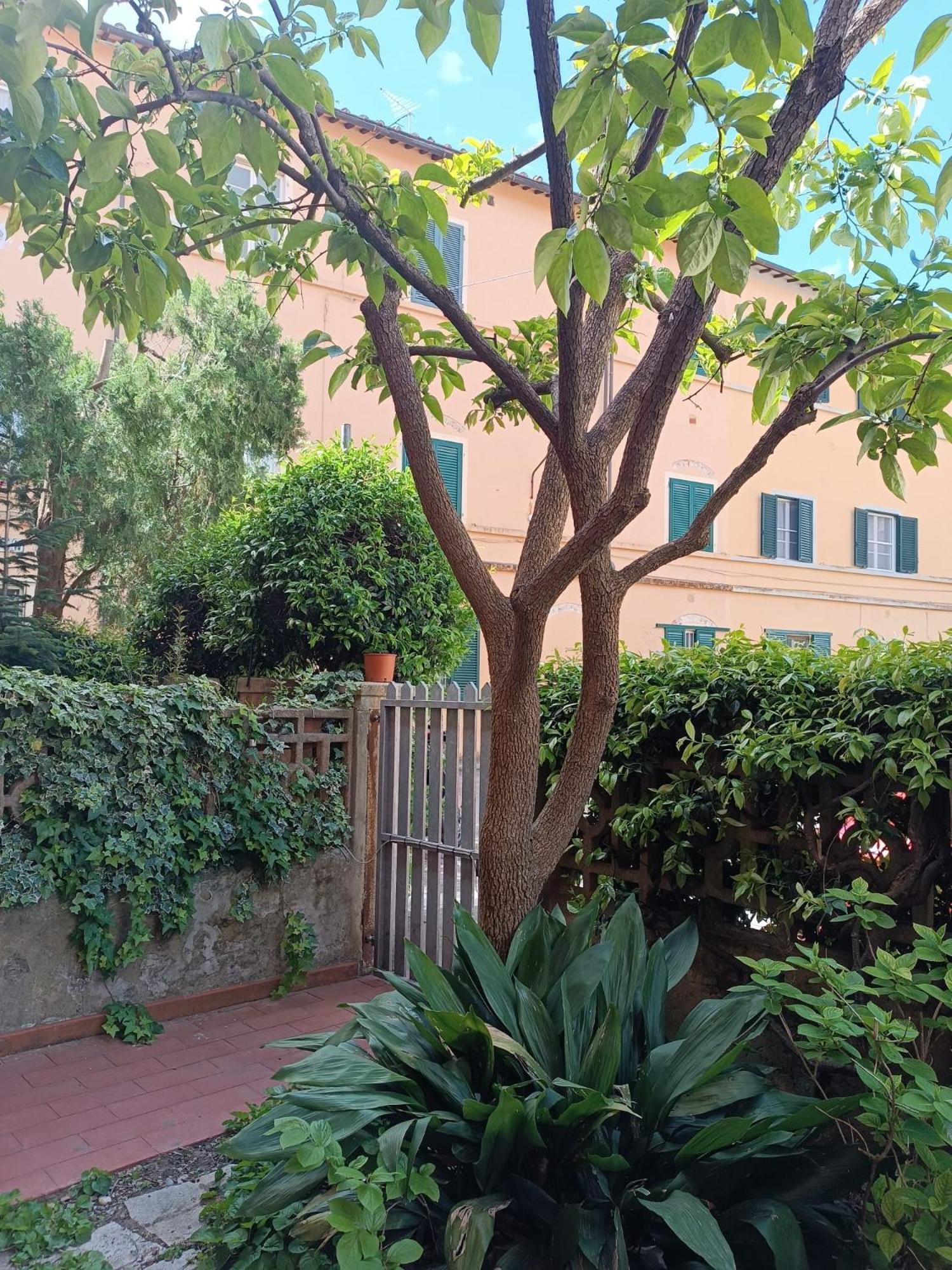 Maioliche Cozy Apartment Pisa Luaran gambar